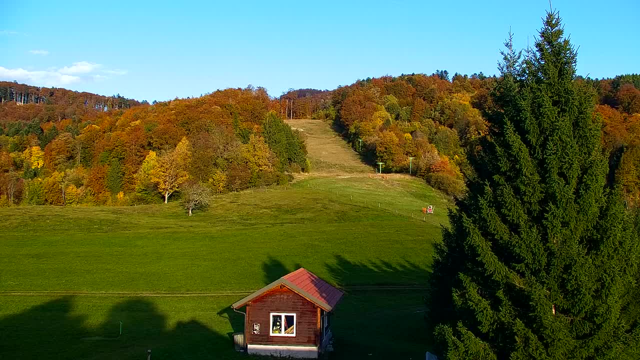 Webcam Lokve – La beauté de la forêt de Trnovo