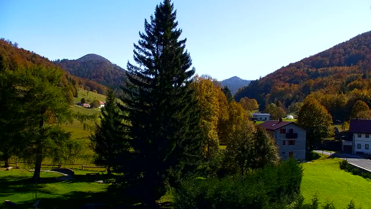 Webcam Loqua / Lokve – La bellezza della selva di Tarnova