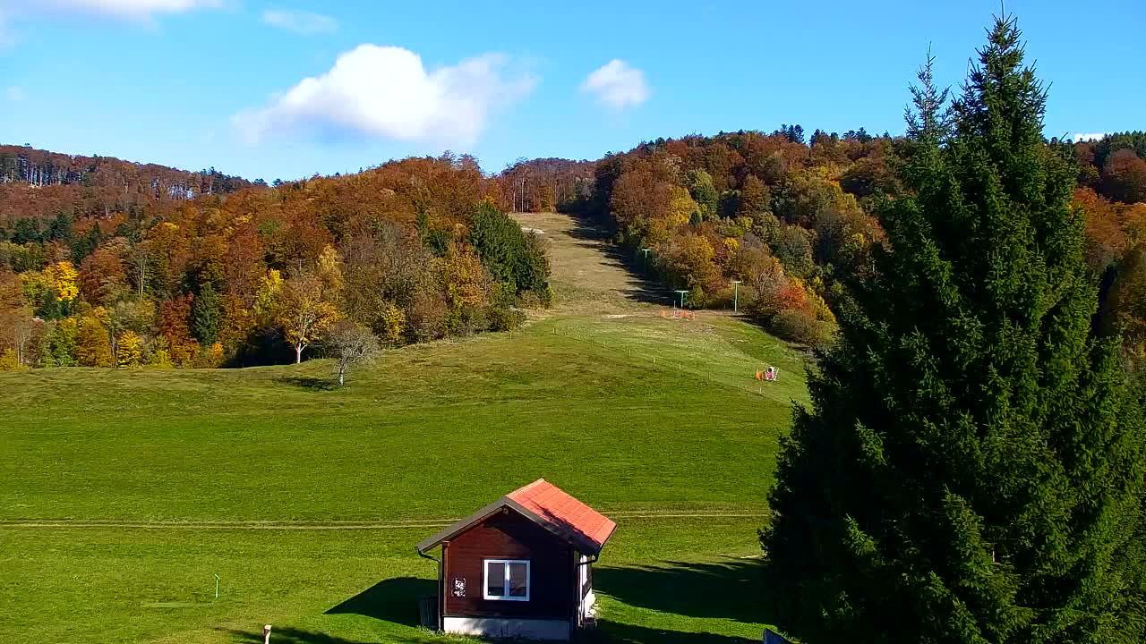 Camera en vivo Lokve – La belleza del bosque de Trnovo