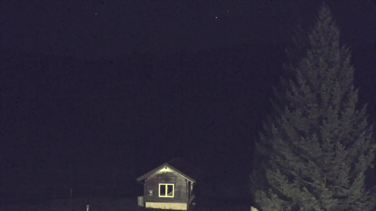 Webcam Loqua / Lokve – La bellezza della selva di Tarnova