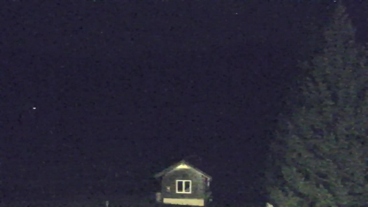 Webcam Lokve – The beauty of the Trnovo forest