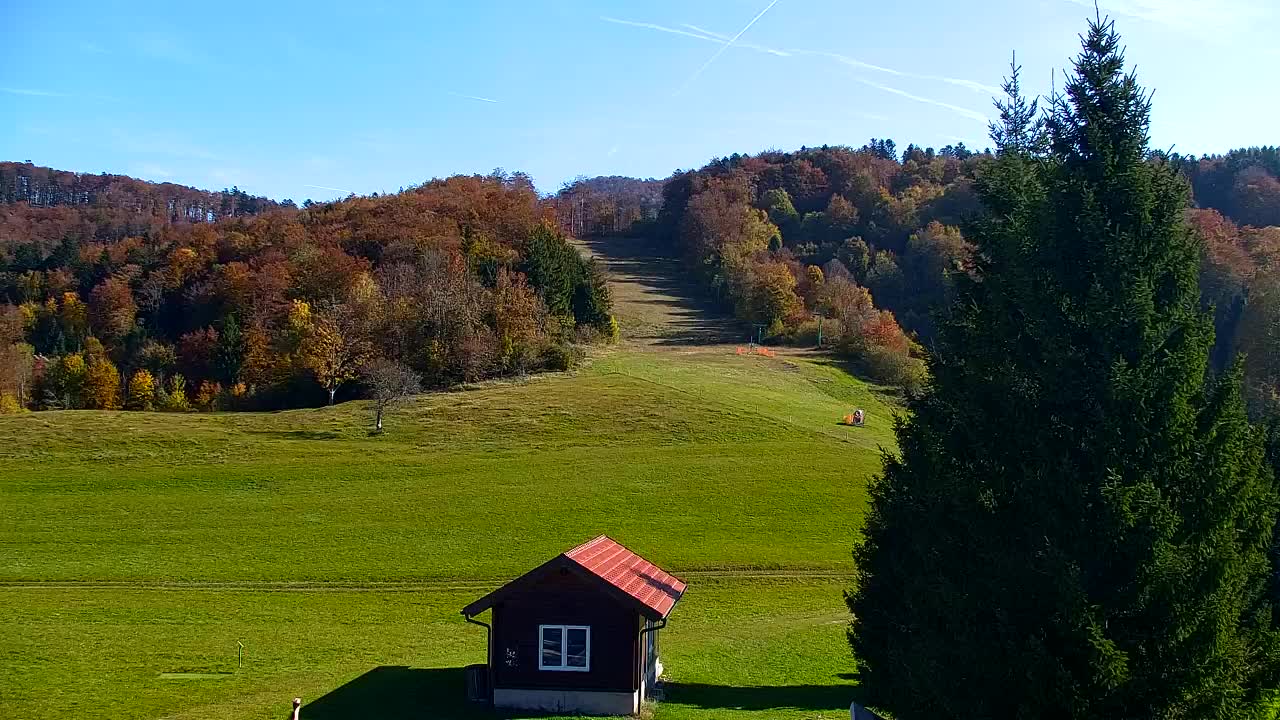 Camera en vivo Lokve – La belleza del bosque de Trnovo