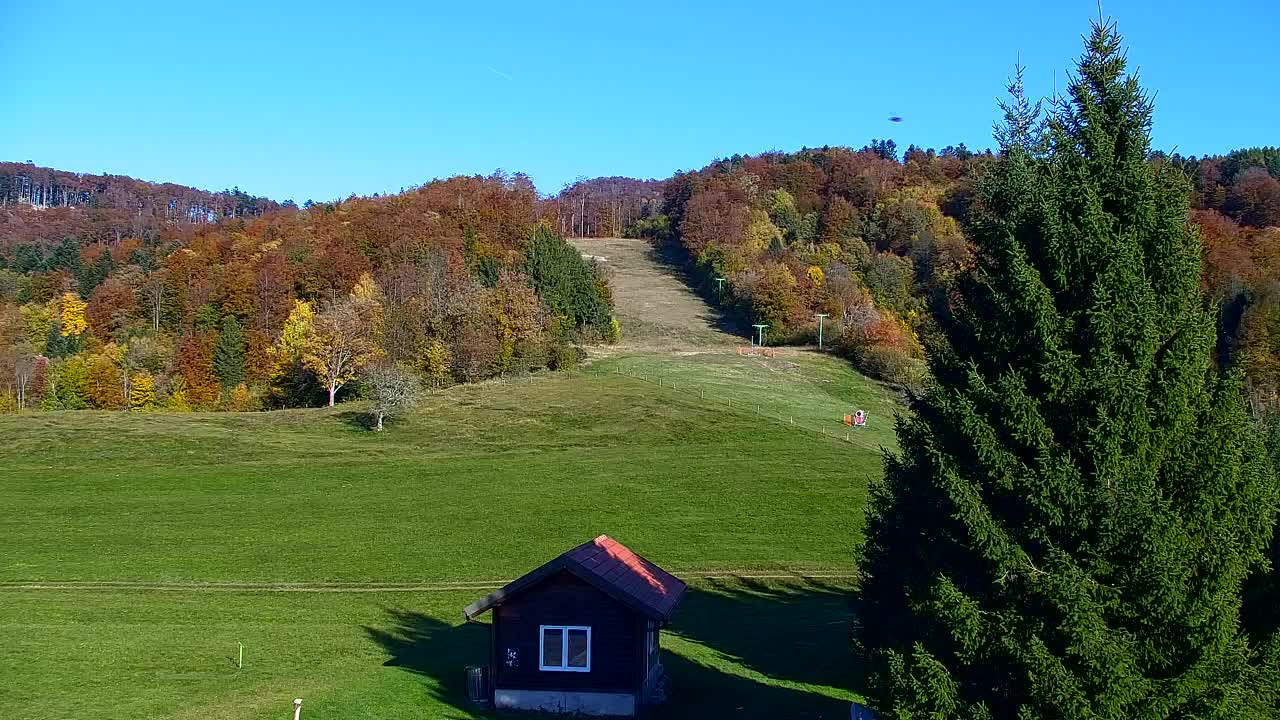 Webcam Lokve – Die Schönheit des Trnovo-Waldes