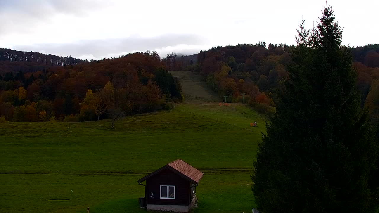 Webcam Loqua / Lokve – La bellezza della selva di Tarnova