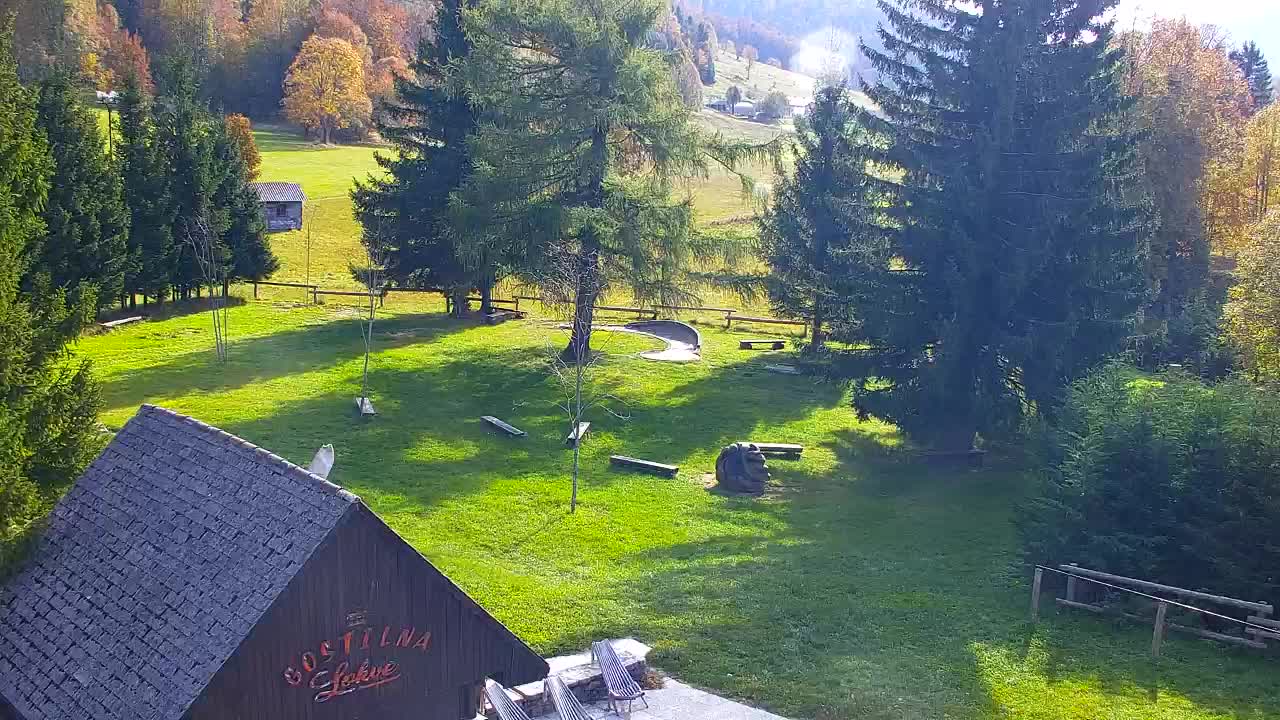 Webcam Lokve – The beauty of the Trnovo forest