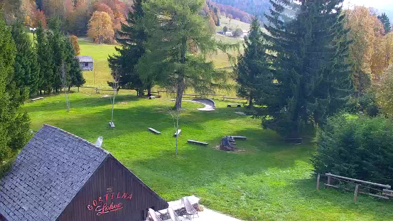 Webcam Lokve – The beauty of the Trnovo forest