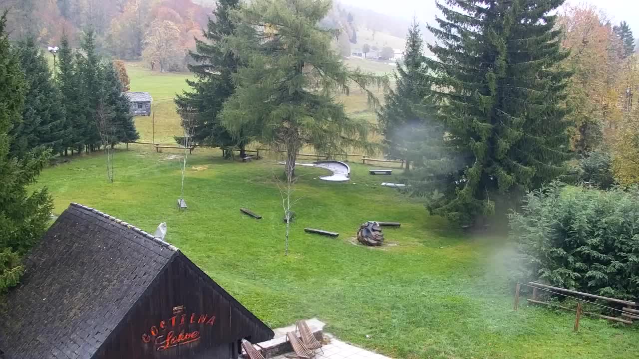 Webcam Lokve – La beauté de la forêt de Trnovo