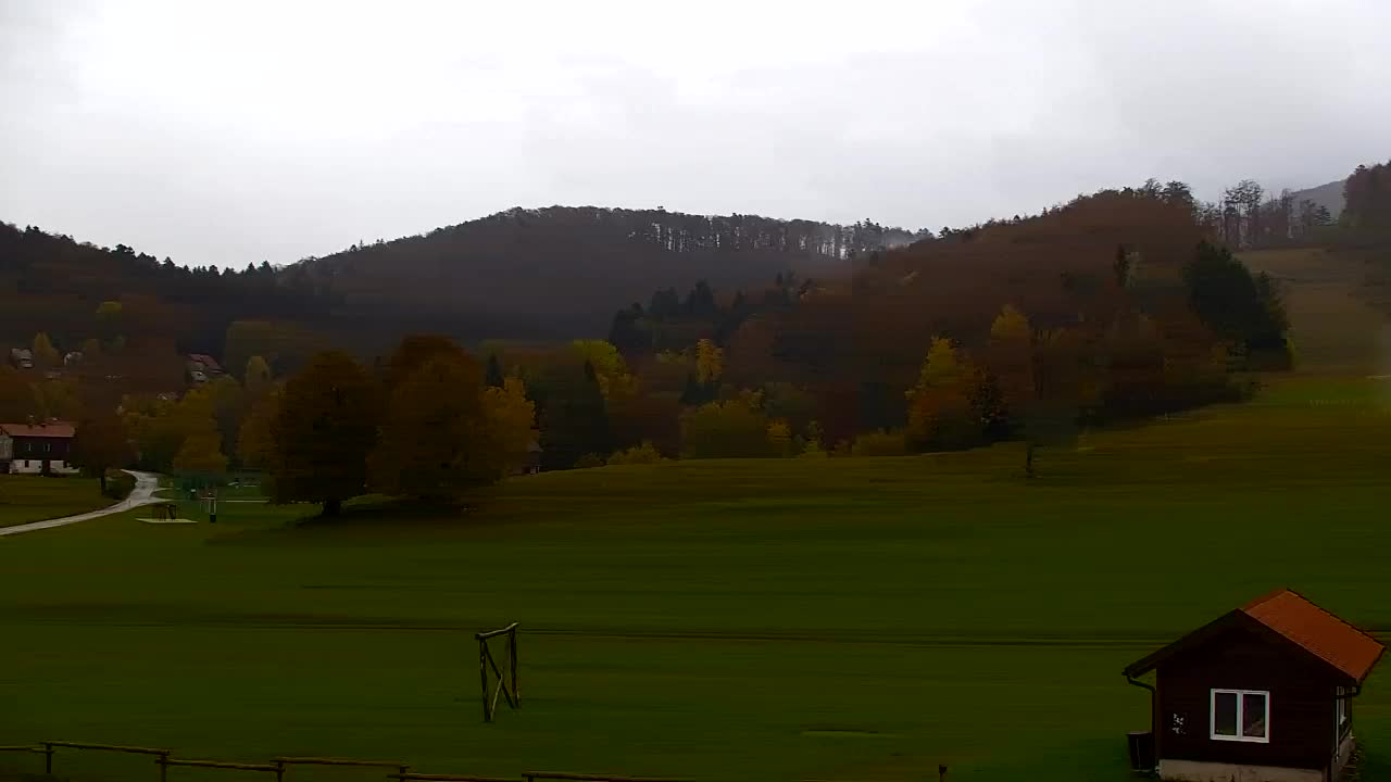Webcam Lokve – The beauty of the Trnovo forest