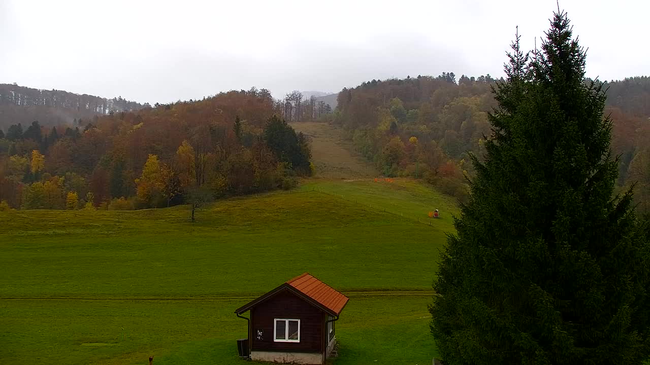 Webcam Loqua / Lokve – La bellezza della selva di Tarnova