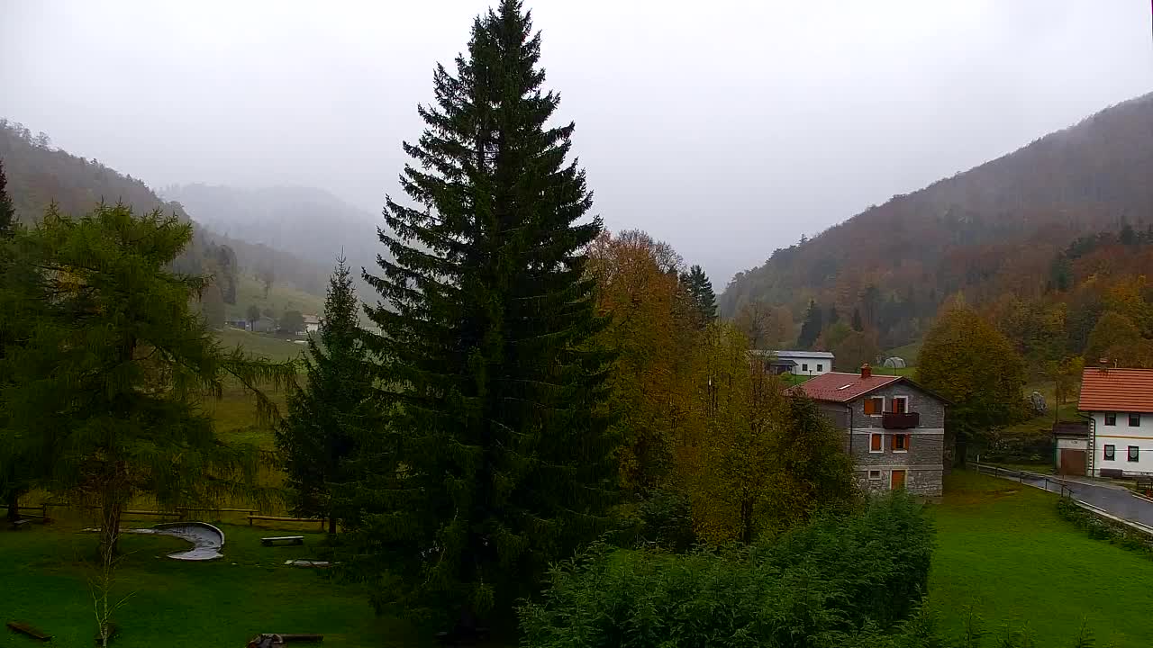 Webcam Lokve – La beauté de la forêt de Trnovo