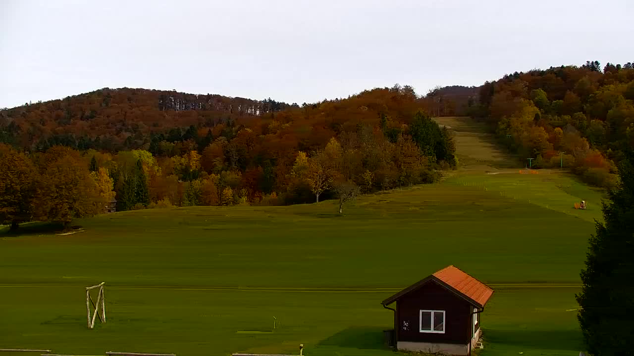 Webcam Lokve – La beauté de la forêt de Trnovo