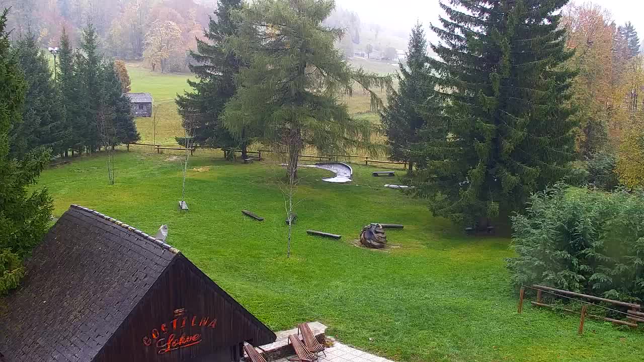 Webcam Lokve – Die Schönheit des Trnovo-Waldes