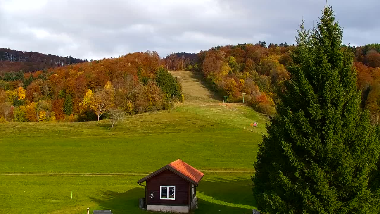 Webcam Lokve – The beauty of the Trnovo forest