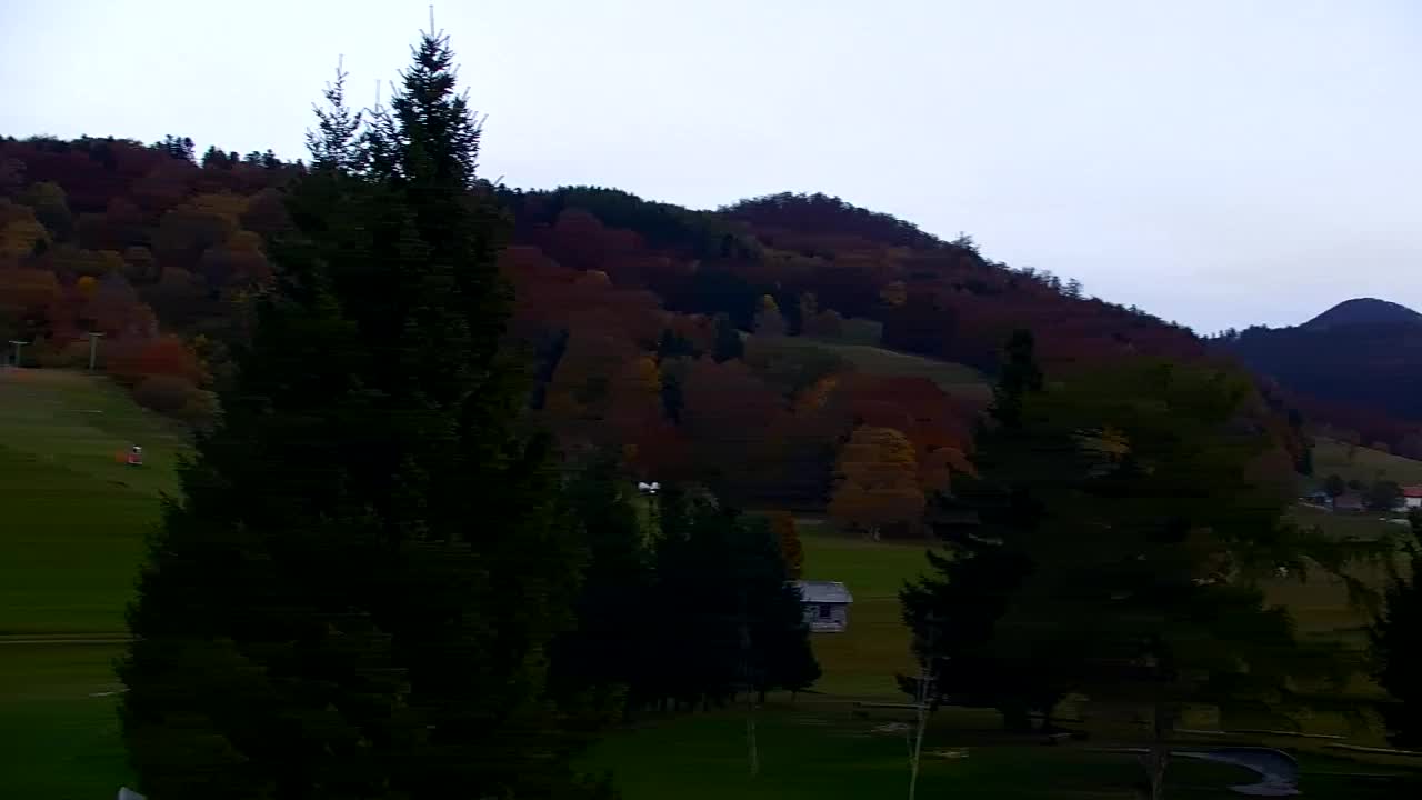Webcam Lokve – The beauty of the Trnovo forest