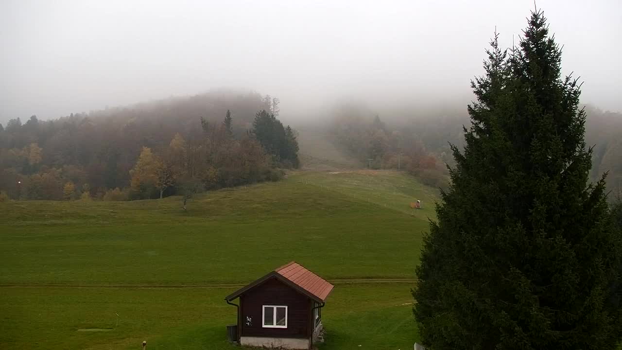 Webcam Lokve – The beauty of the Trnovo forest