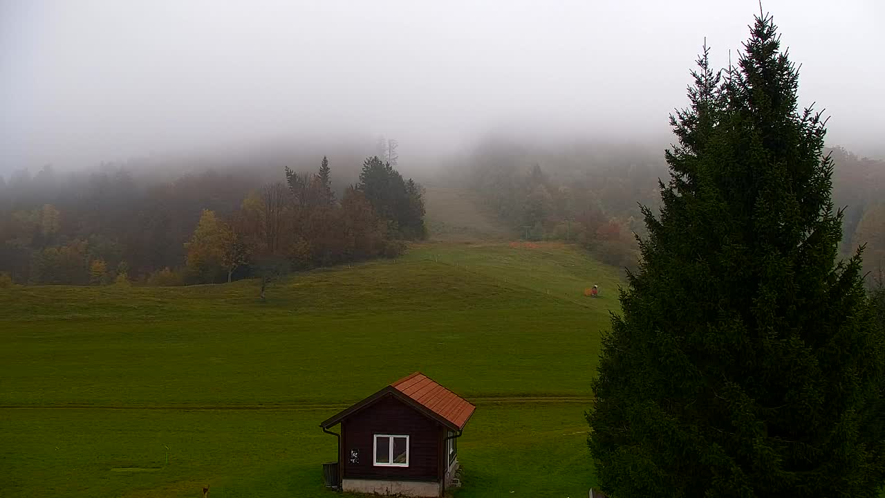 Webcam Lokve – The beauty of the Trnovo forest