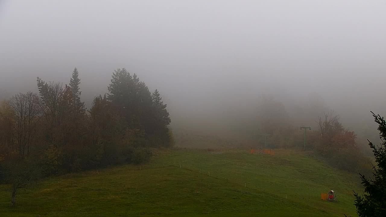 Webcam Lokve – The beauty of the Trnovo forest