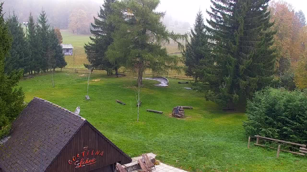 Webcam Lokve – The beauty of the Trnovo forest