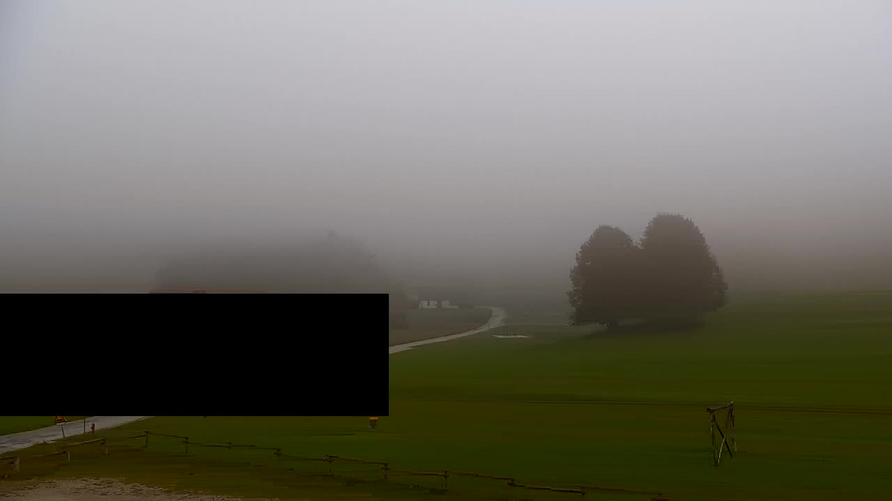 Webcam Lokve – Die Schönheit des Trnovo-Waldes