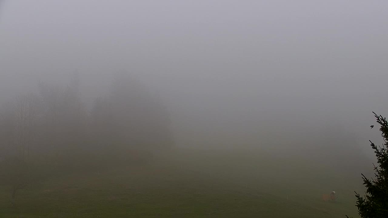 Camera en vivo Lokve – La belleza del bosque de Trnovo
