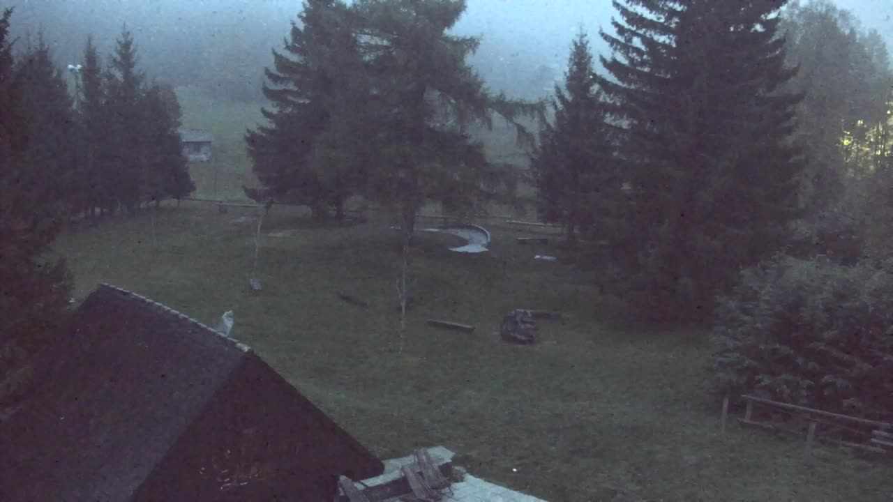 Webcam Loqua / Lokve – La bellezza della selva di Tarnova