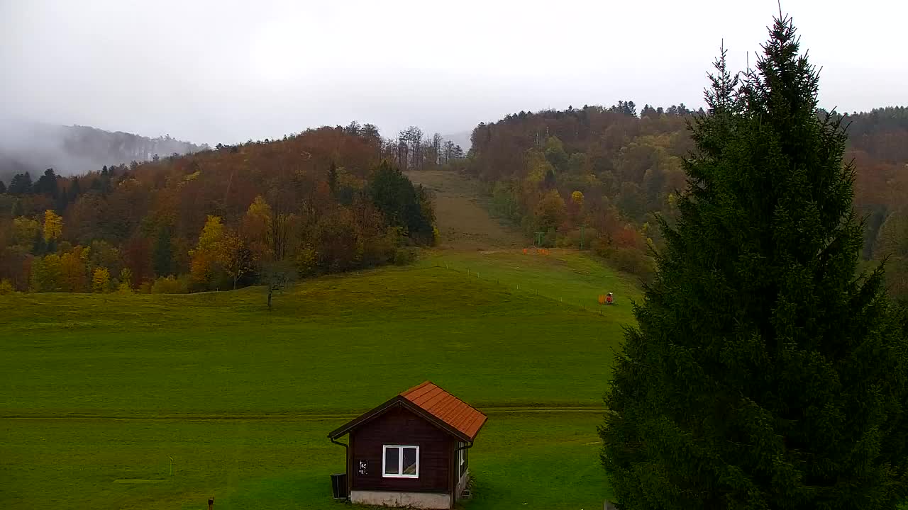 Webcam Lokve – The beauty of the Trnovo forest