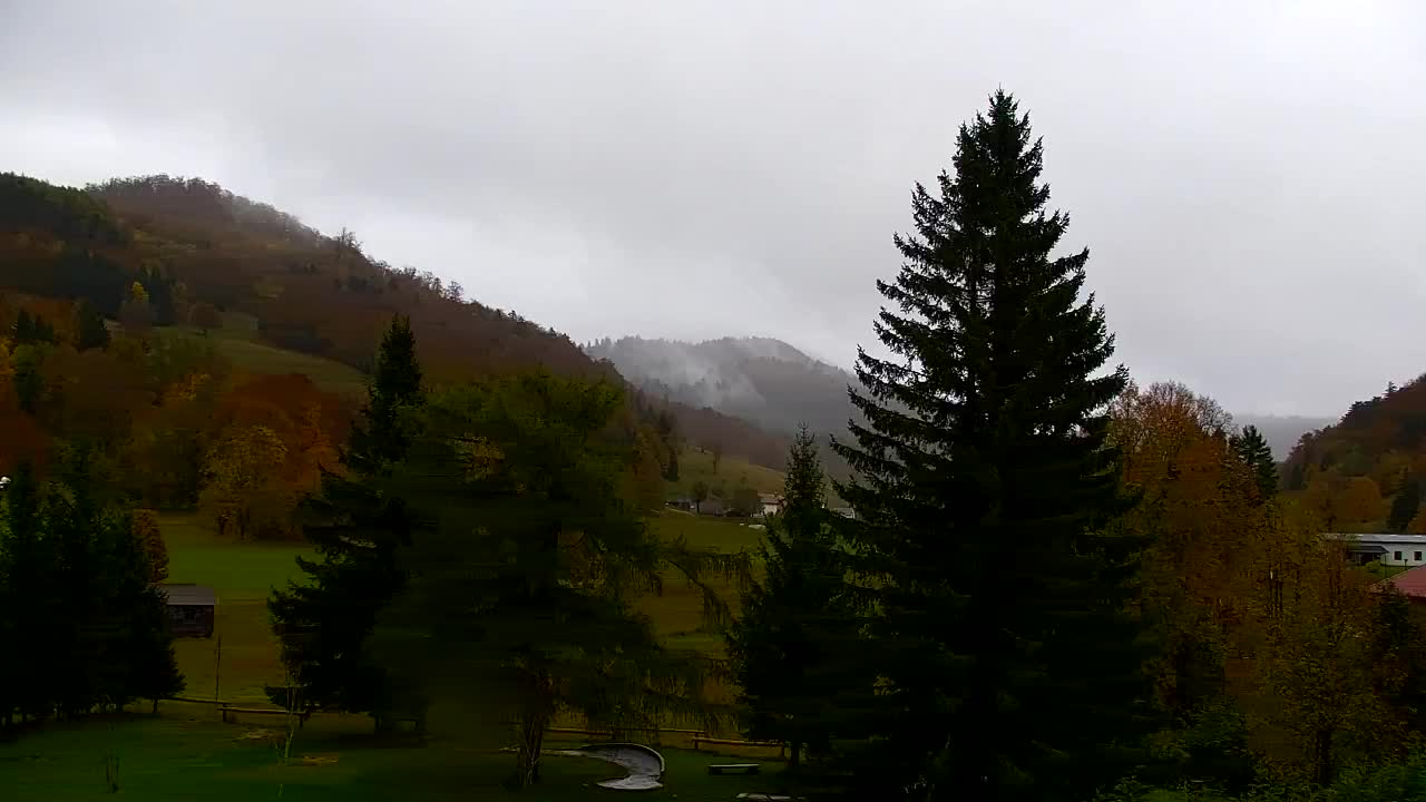 Webcam Lokve – The beauty of the Trnovo forest