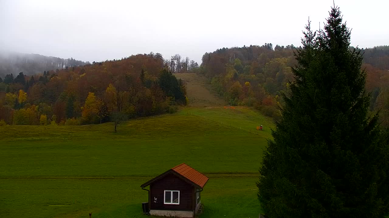 Webcam Loqua / Lokve – La bellezza della selva di Tarnova