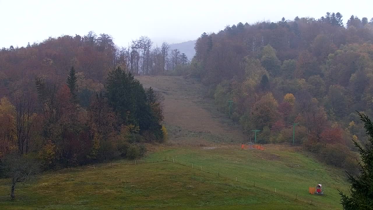 Webcam Lokve – The beauty of the Trnovo forest
