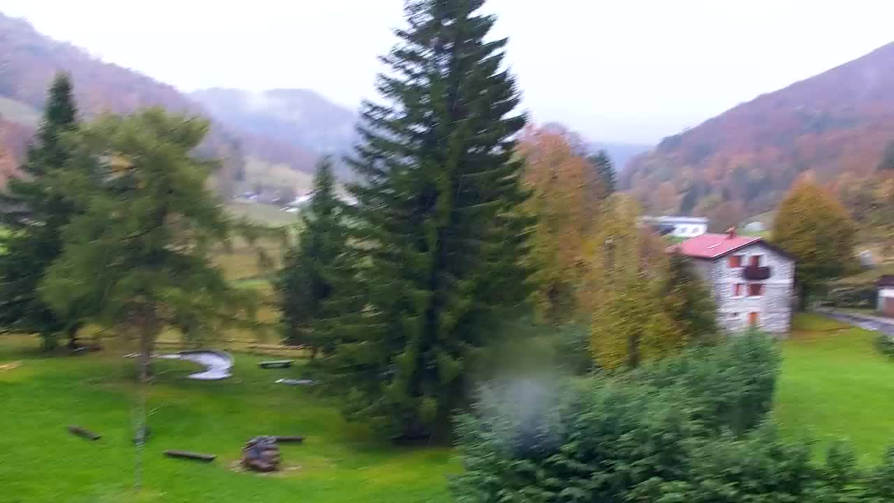 Webcam Lokve – The beauty of the Trnovo forest