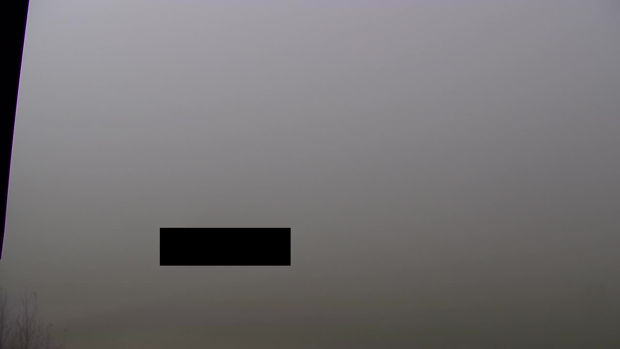 Webcam Loqua / Lokve – La bellezza della selva di Tarnova