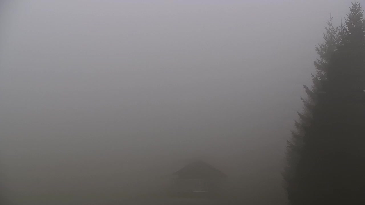 Webcam Lokve – La beauté de la forêt de Trnovo