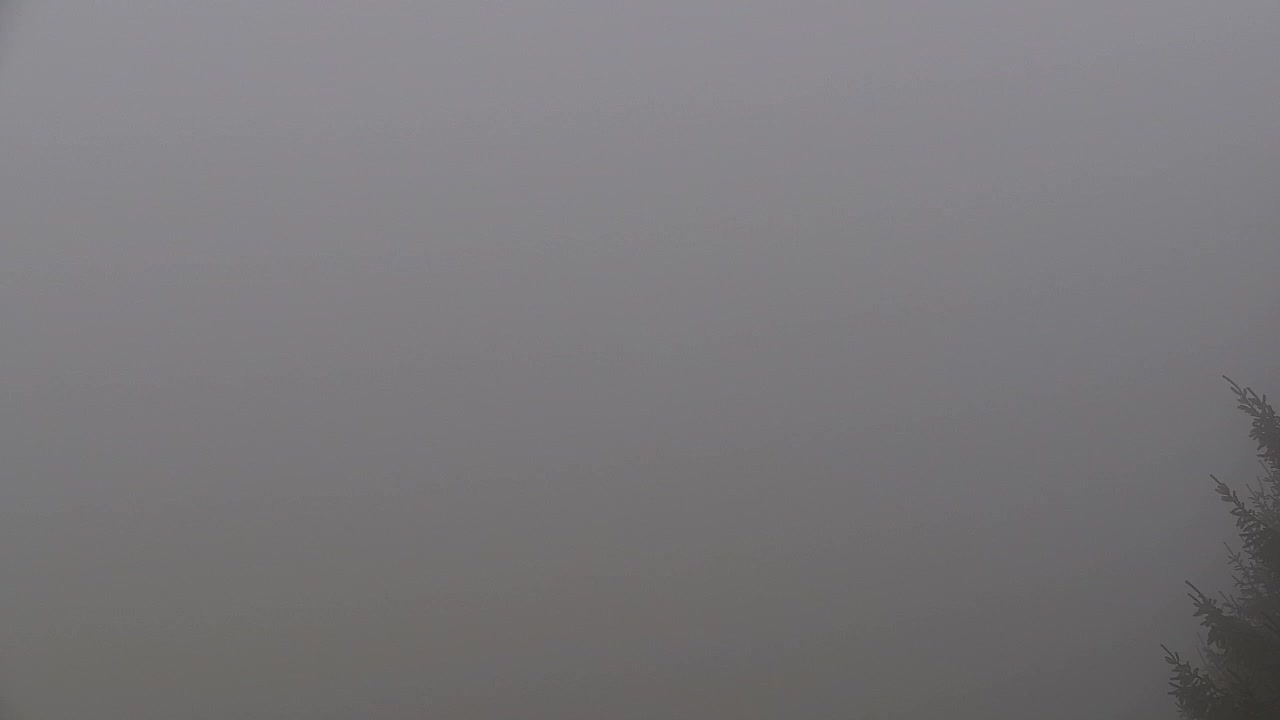 Webcam Lokve – The beauty of the Trnovo forest