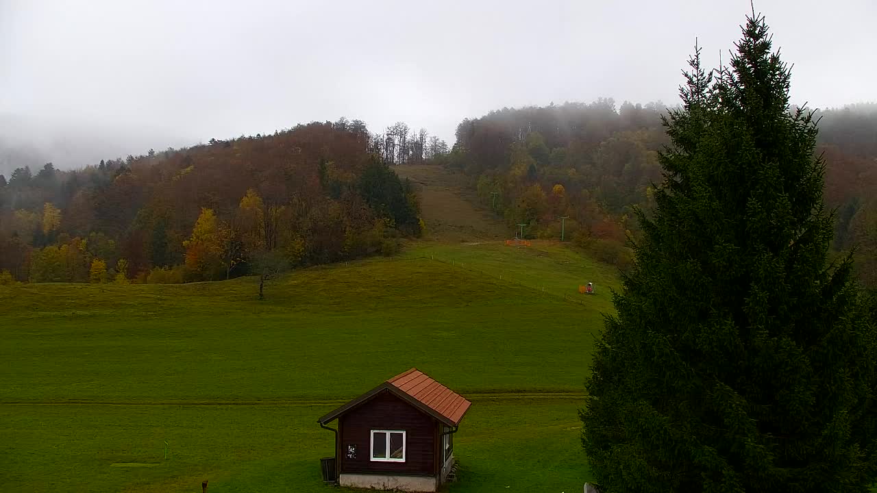 Webcam Loqua / Lokve – La bellezza della selva di Tarnova
