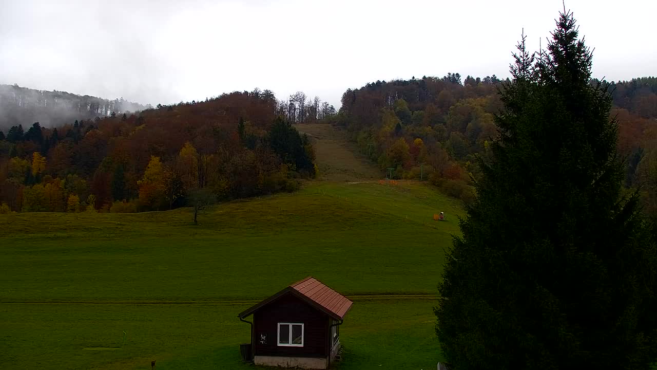 Webcam Loqua / Lokve – La bellezza della selva di Tarnova