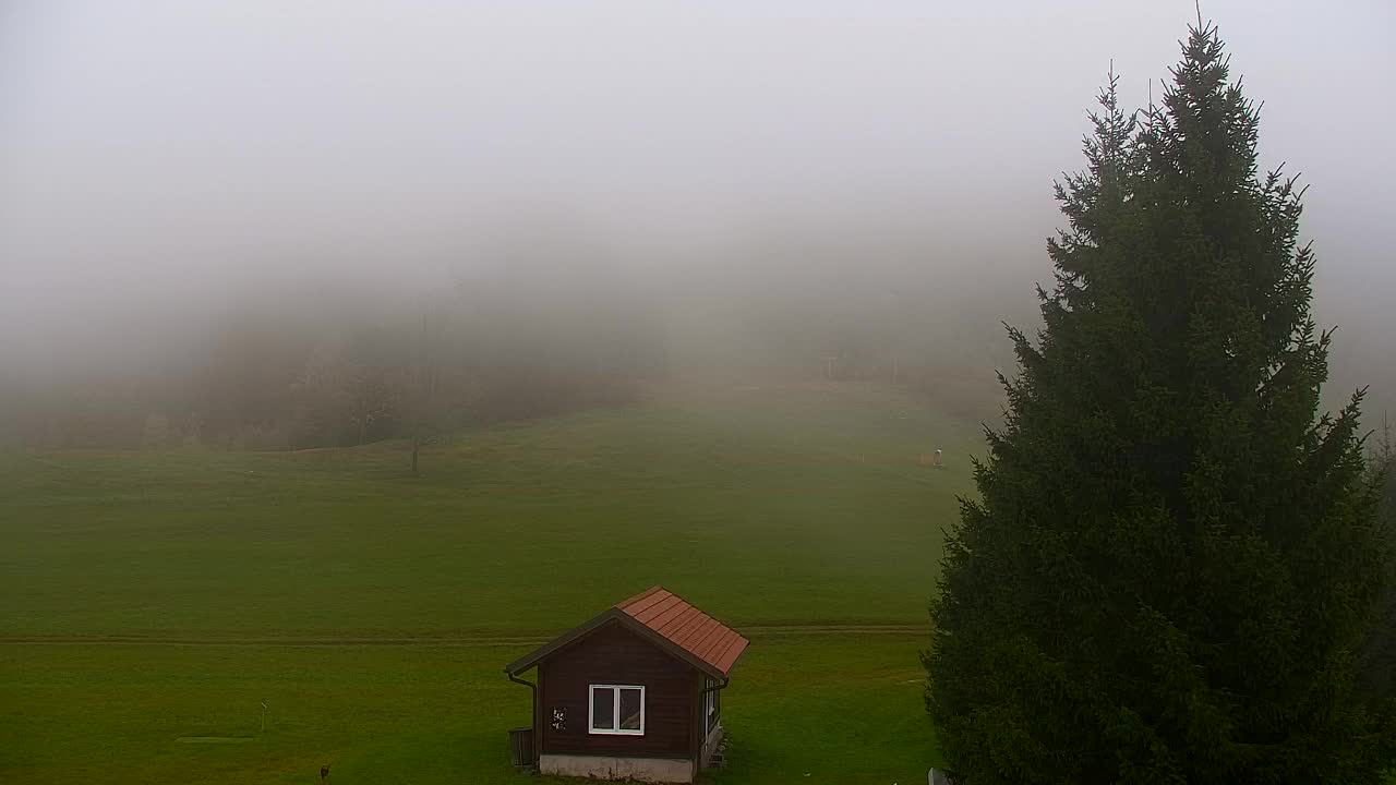 Webcam Lokve – The beauty of the Trnovo forest