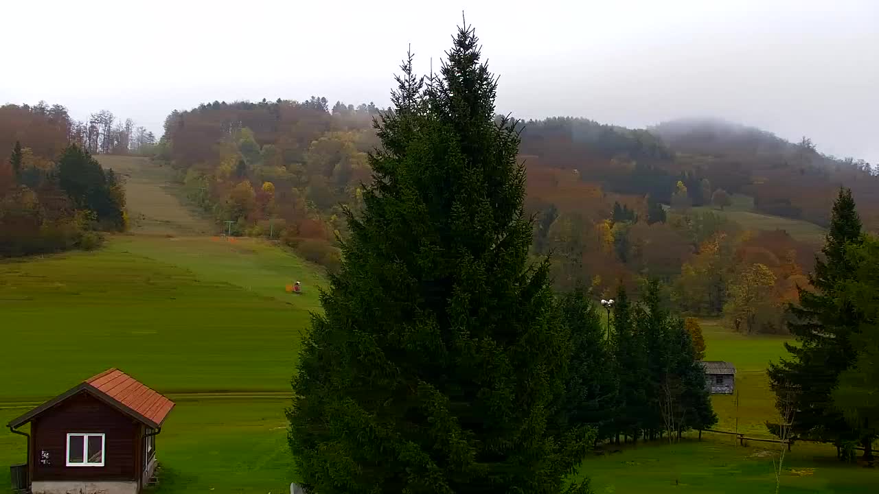 Camera en vivo Lokve – La belleza del bosque de Trnovo