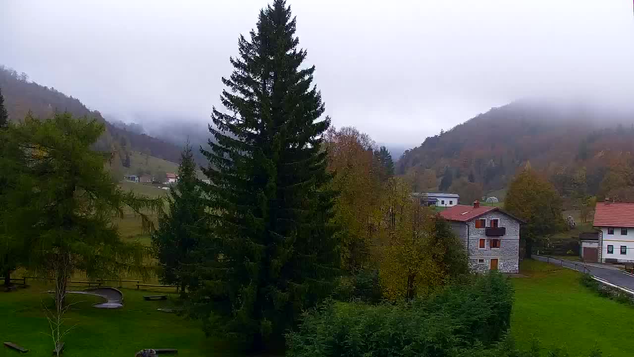 Webcam Loqua / Lokve – La bellezza della selva di Tarnova
