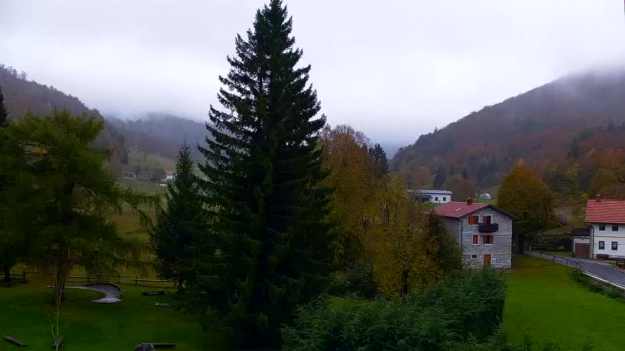 Camera en vivo Lokve – La belleza del bosque de Trnovo