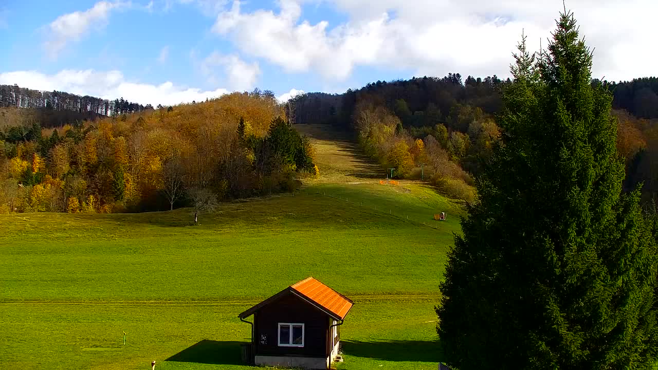 Camera en vivo Lokve – La belleza del bosque de Trnovo