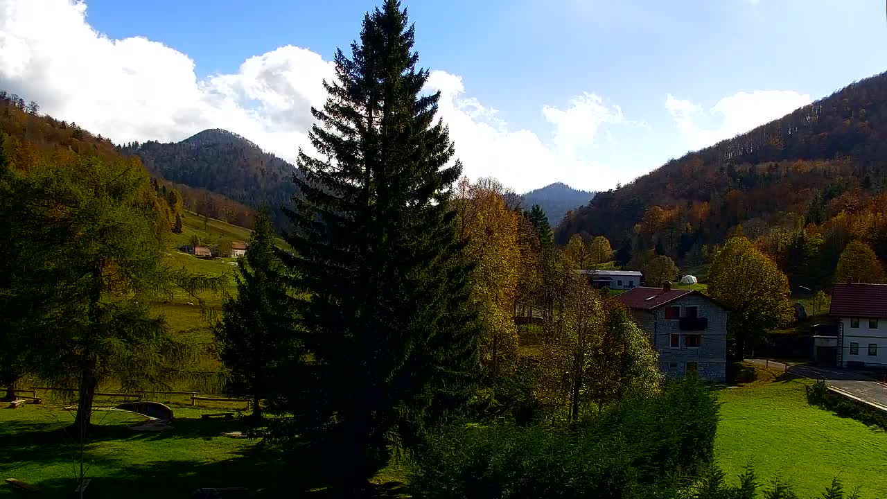 Webcam Lokve – La beauté de la forêt de Trnovo