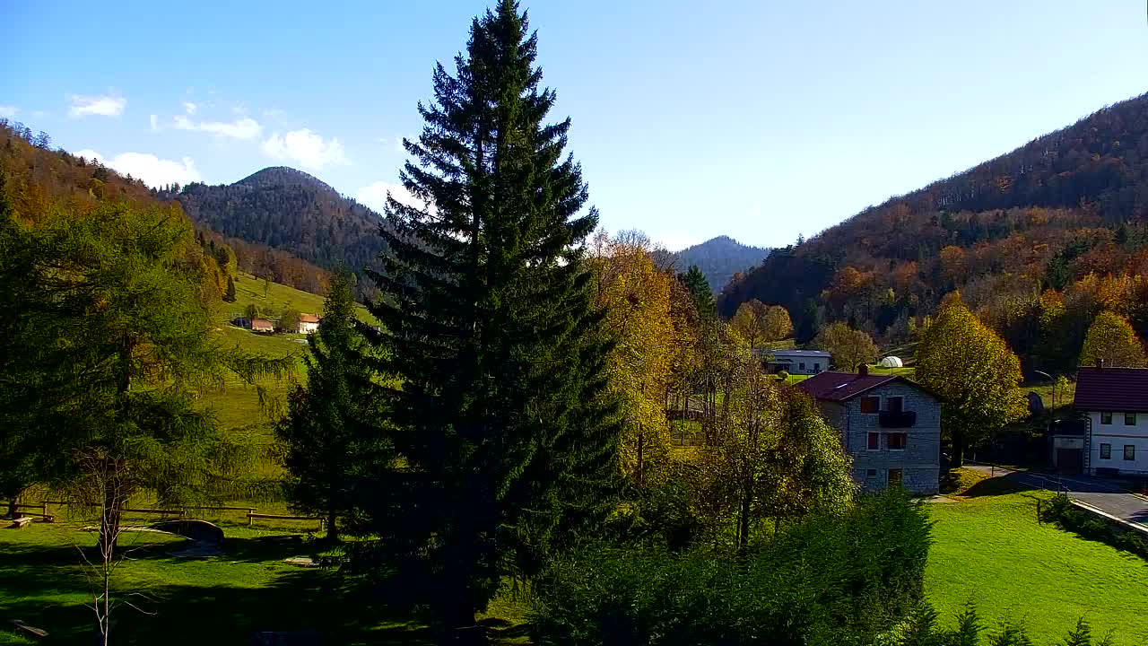 Webcam Lokve – La beauté de la forêt de Trnovo
