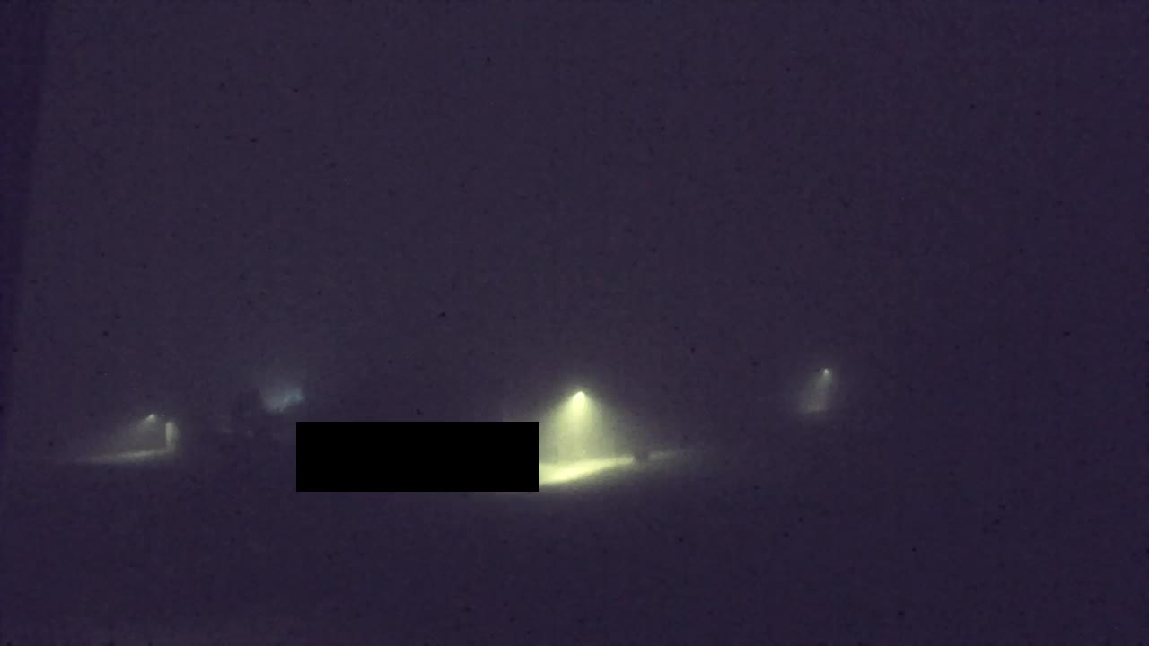 Webcam Lokve – La beauté de la forêt de Trnovo