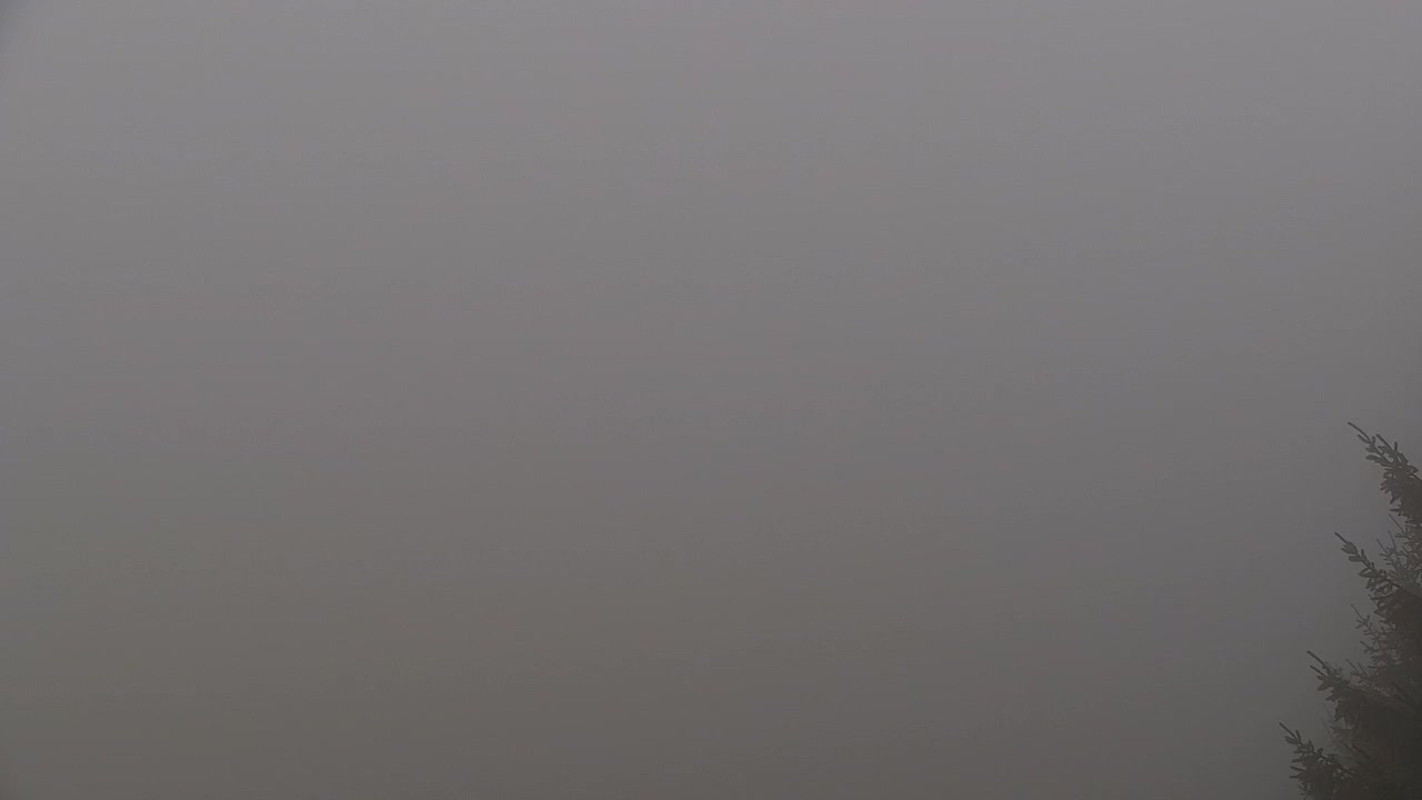 Webcam Loqua / Lokve – La bellezza della selva di Tarnova