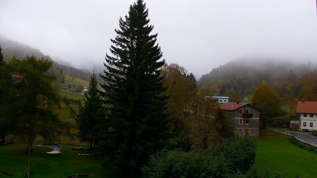 Webcam Lokve – The beauty of the Trnovo forest