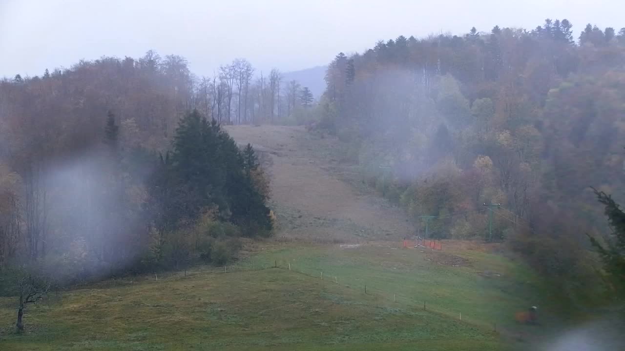Webcam Lokve – The beauty of the Trnovo forest