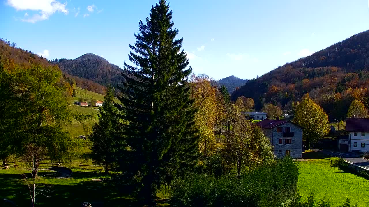 Webcam Lokve – Die Schönheit des Trnovo-Waldes