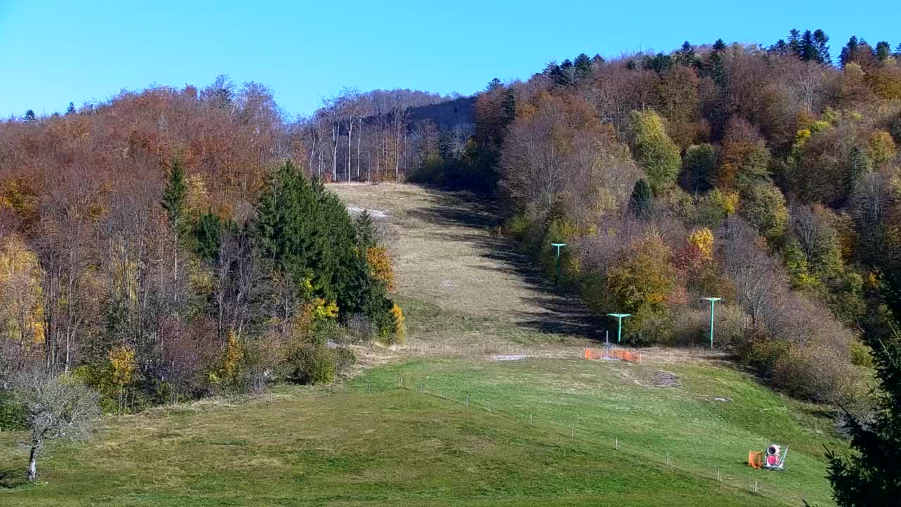 Webcam Lokve – The beauty of the Trnovo forest