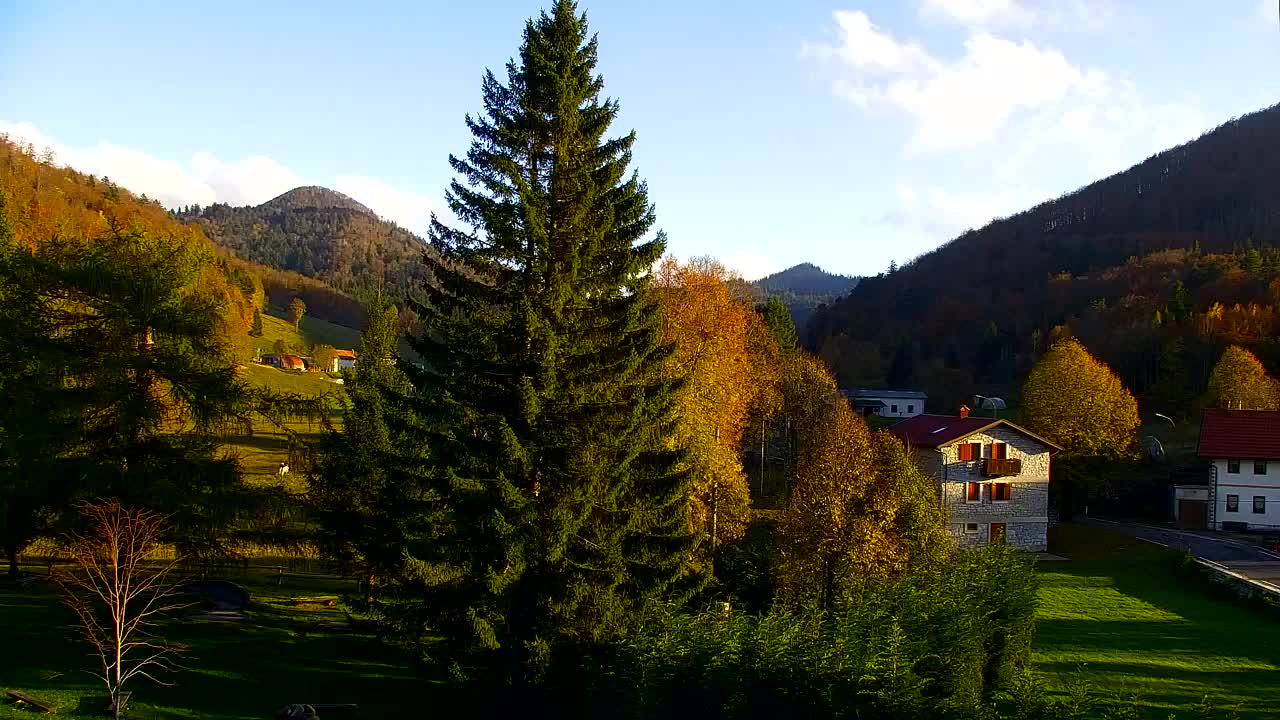 Webcam Lokve – La beauté de la forêt de Trnovo