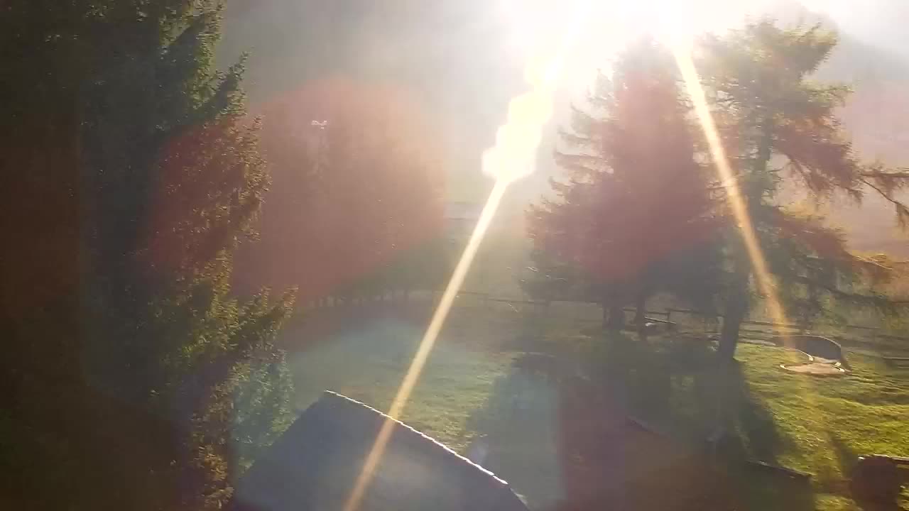Webcam Lokve – The beauty of the Trnovo forest